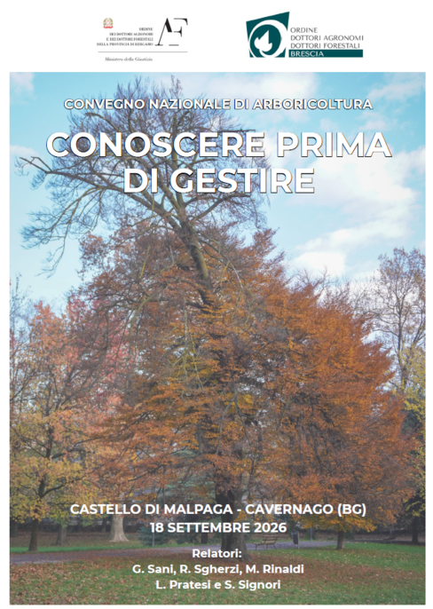 Immagine 2026-06-29 184854.png